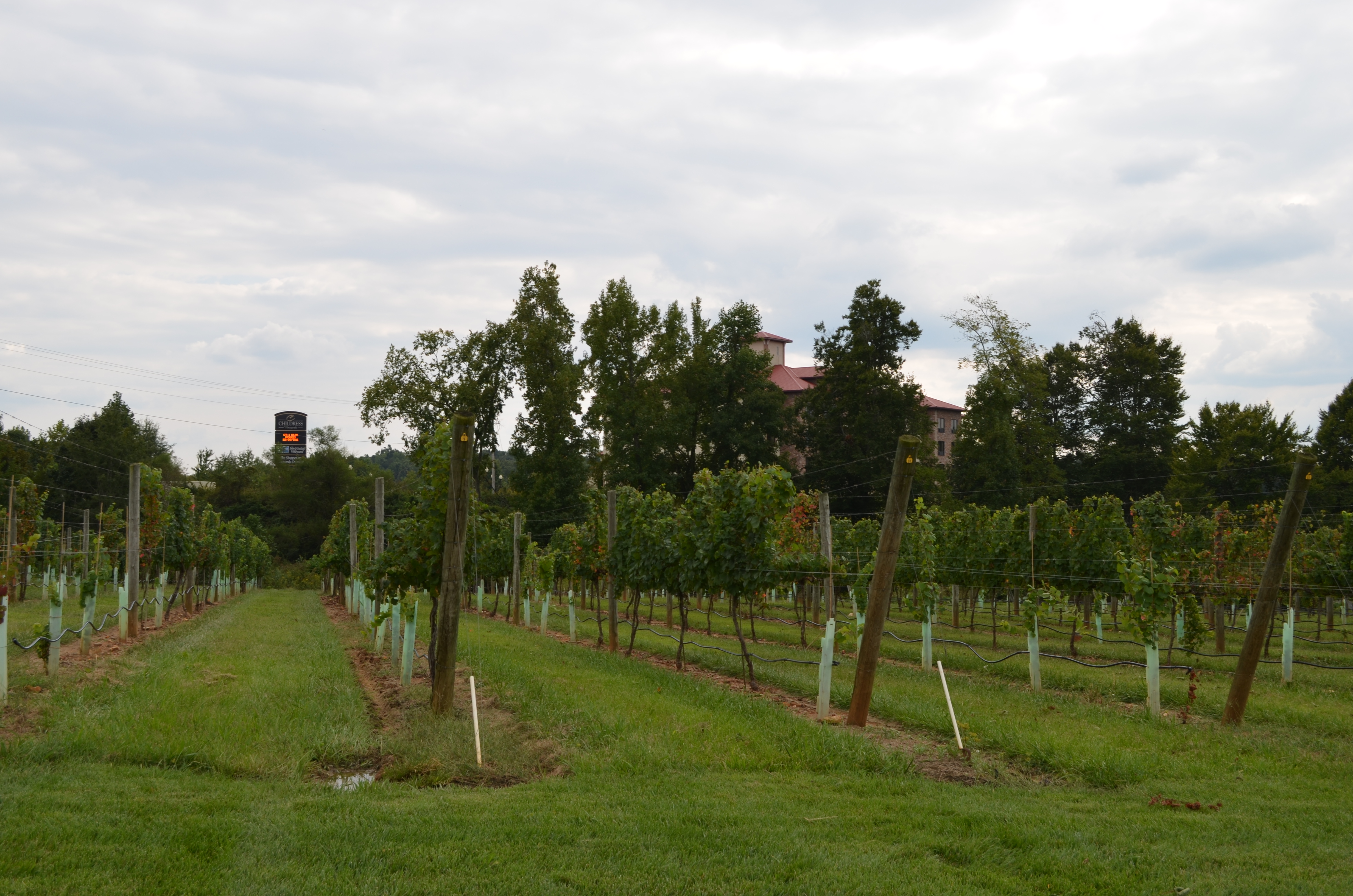 ./2014/Childress-High Rock/DSC_5599.JPG